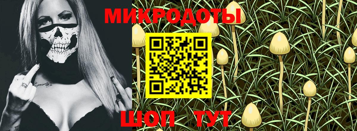 Галлюциногенные грибы Psilocybine cubensis  Галлюциногенные грибы Cubensis  Вход с VPN  Каменка 