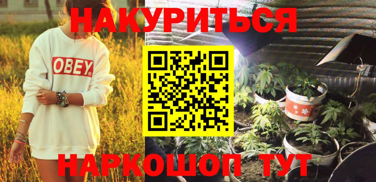 Каменка  Бошки Шишки план  Конопля White Widow  Вход с VPN 
